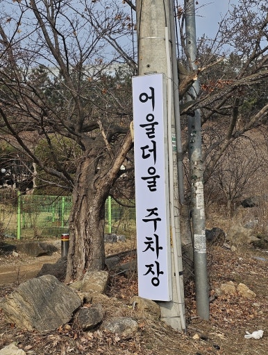 교동흑돼지 이미지