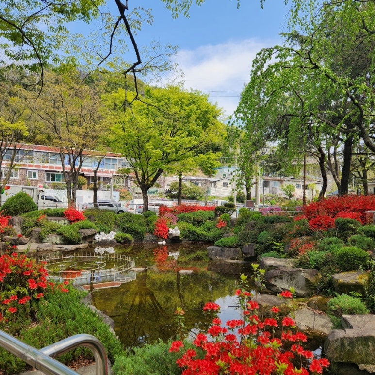 다인밥상 이미지