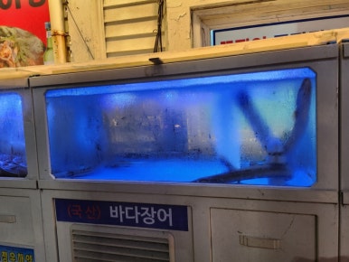 바다장어석쇠구이 이미지