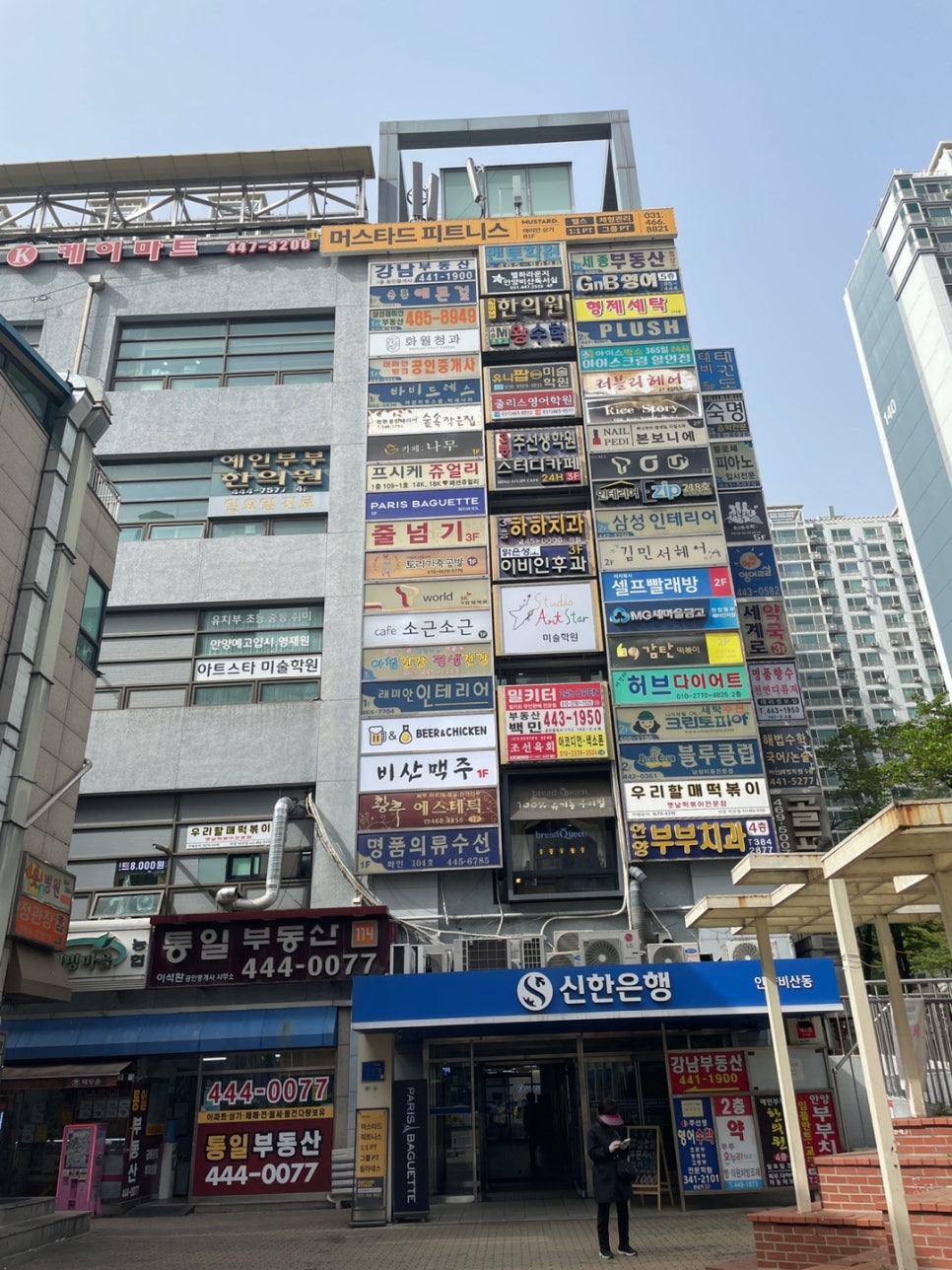 비산청과 이미지
