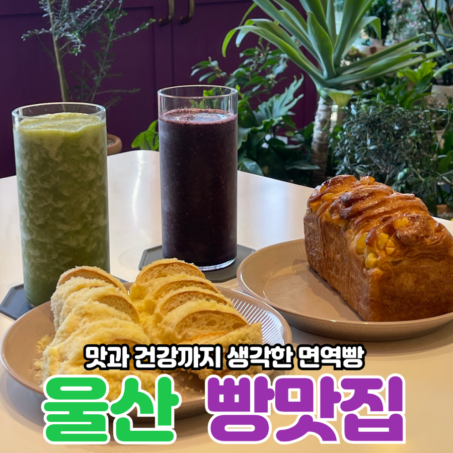 이뮨베이커리카페북구화봉점 이미지