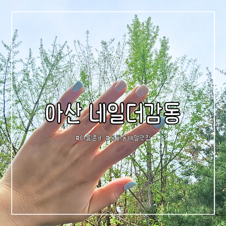네일더감동 이미지