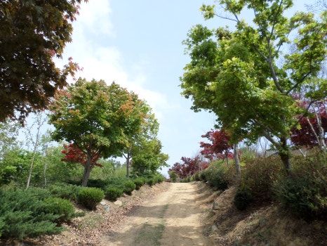 동산잔디 이미지