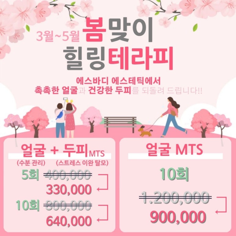 에스에스테틱 이미지