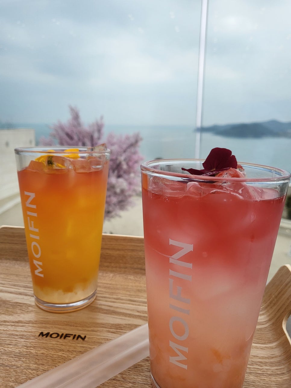 모이핀스카이 이미지