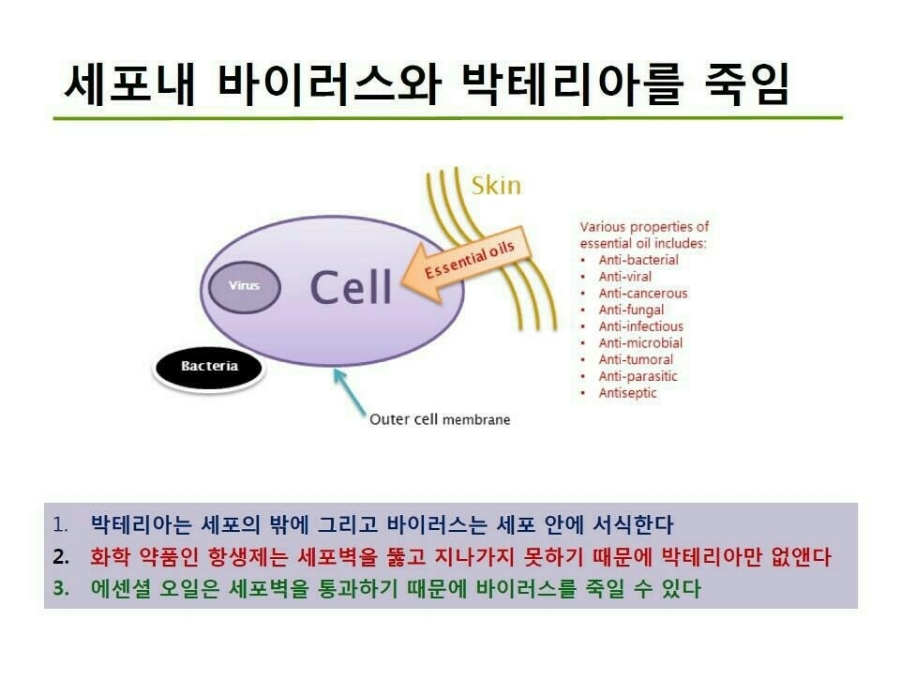 여왕아로마 이미지