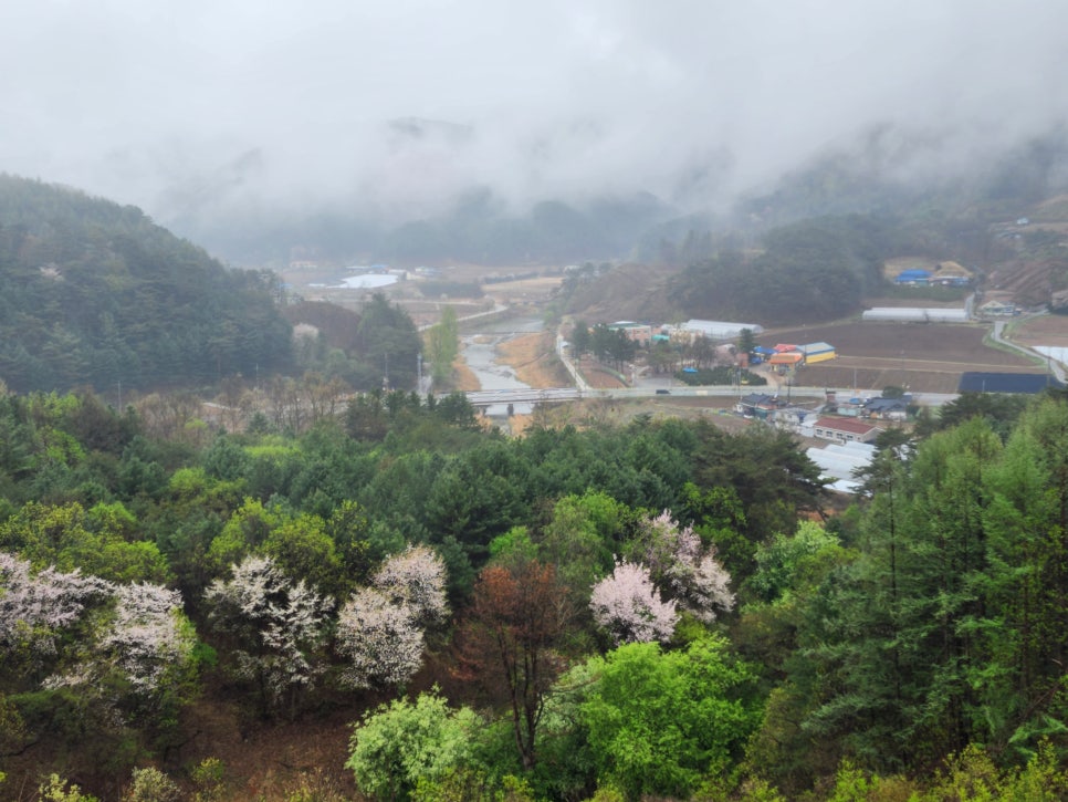 라일락휴게소 이미지