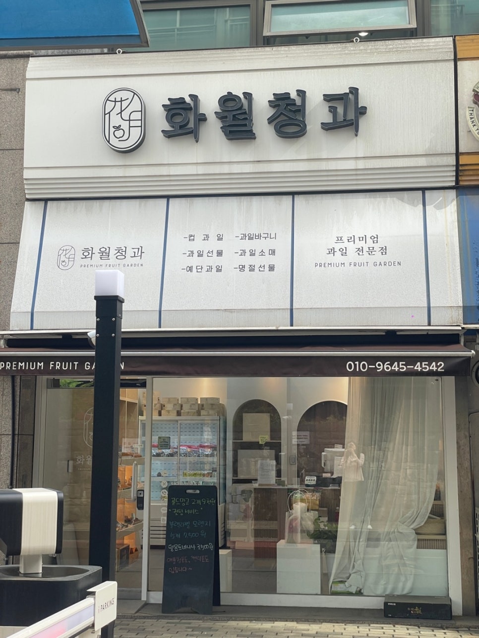 비산청과 이미지