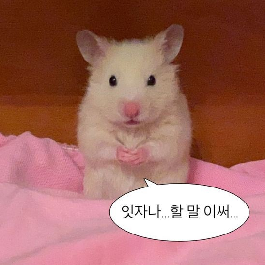 마일드라이프 이미지