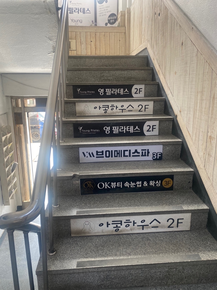 인천 부평 강아지 곰돌이컷 미용 후기 및 비용 — 사진 2
