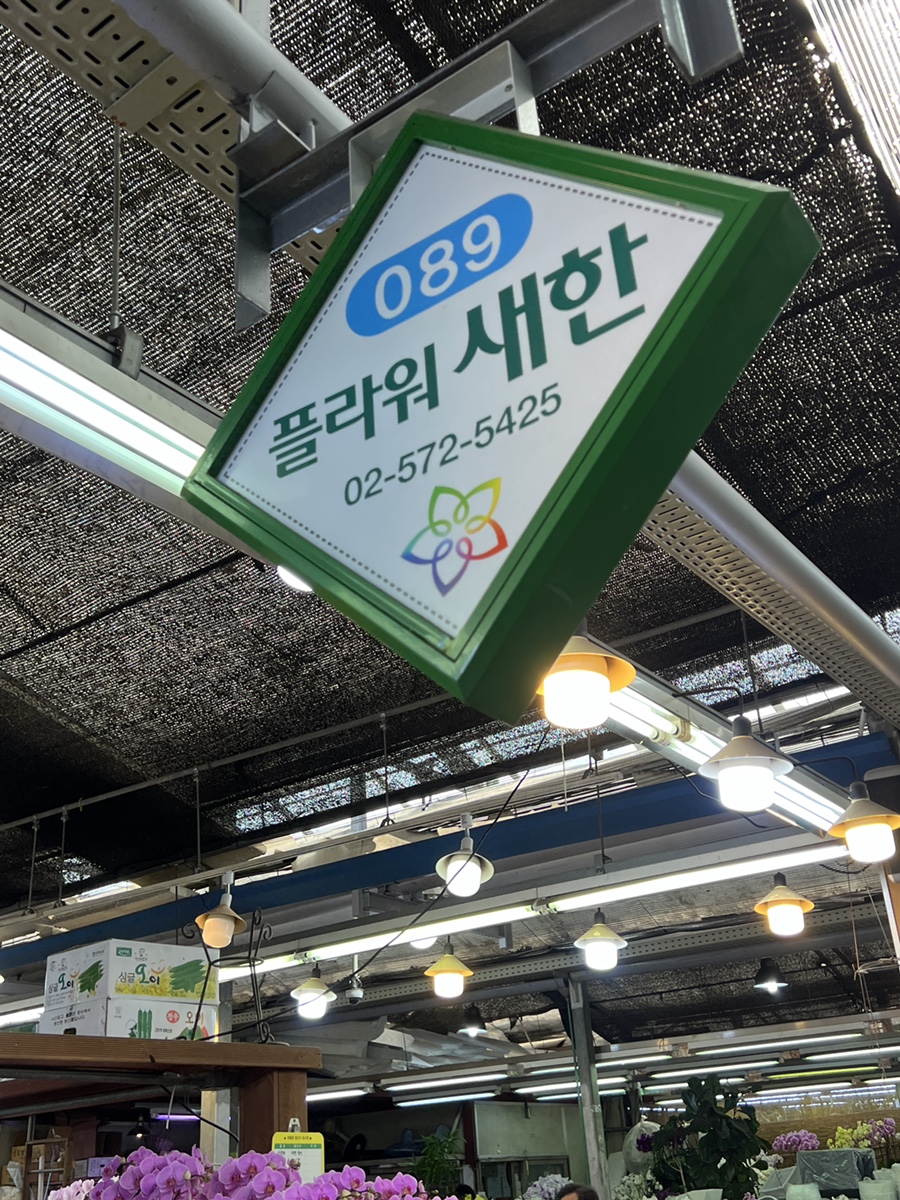 새한플라워 이미지