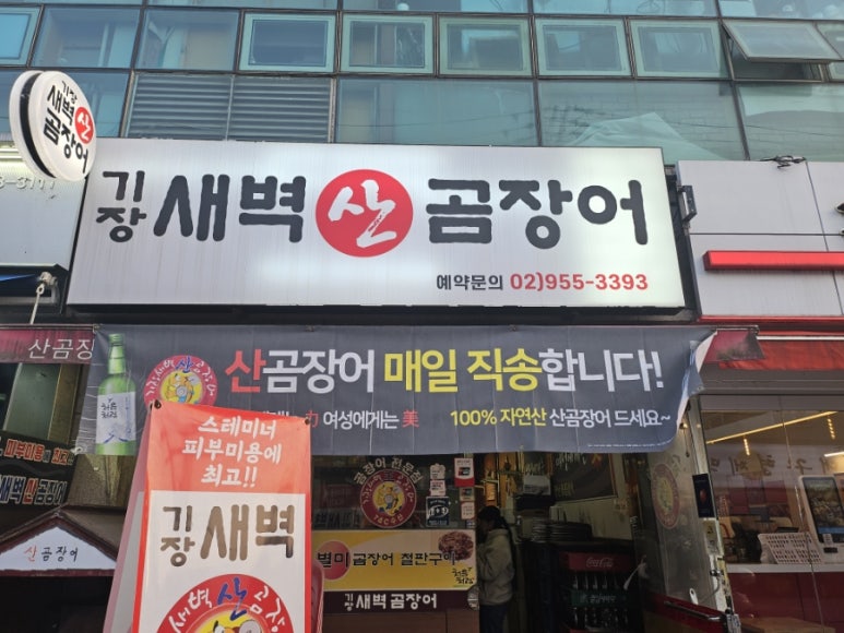 기장새벽왕곰장어 이미지