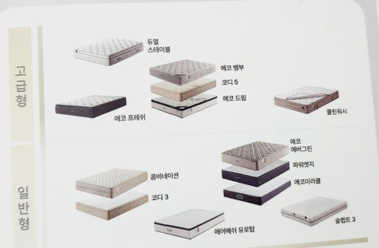 금성침대춘천엔타 이미지