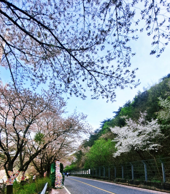 산꽃벚꽃오토캠핑장 이미지