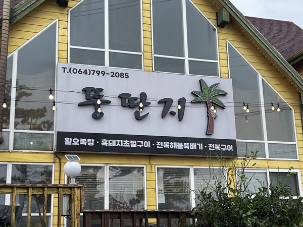 애월7일 이미지
