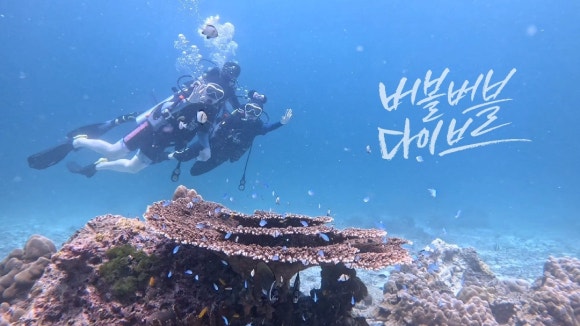 기부다이브 이미지