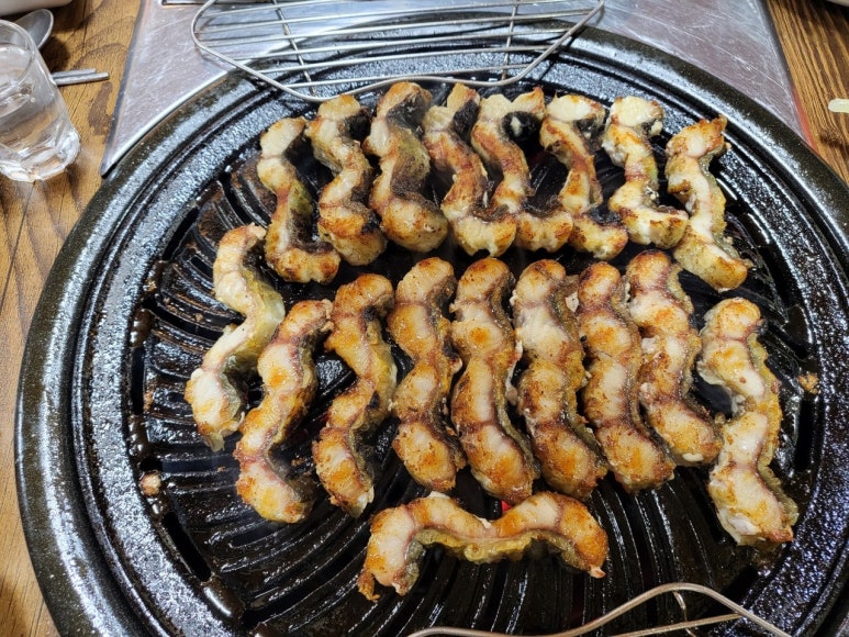 싱싱장어 이미지