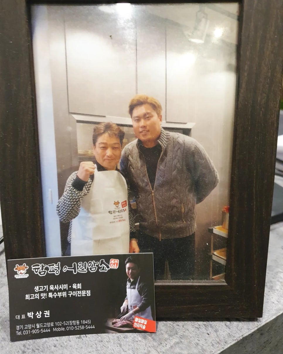 함평어린암소 이미지