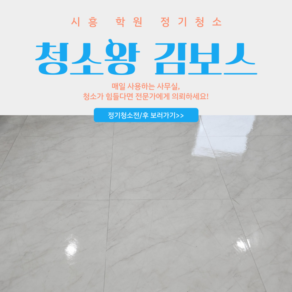 청소왕김보스 이미지