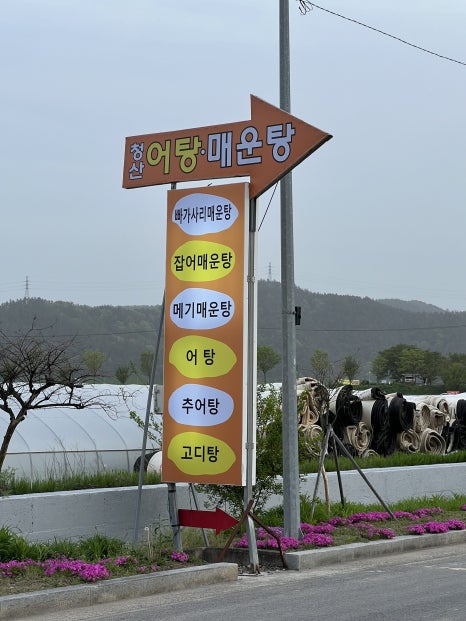 낙동강어탕매운탕 이미지