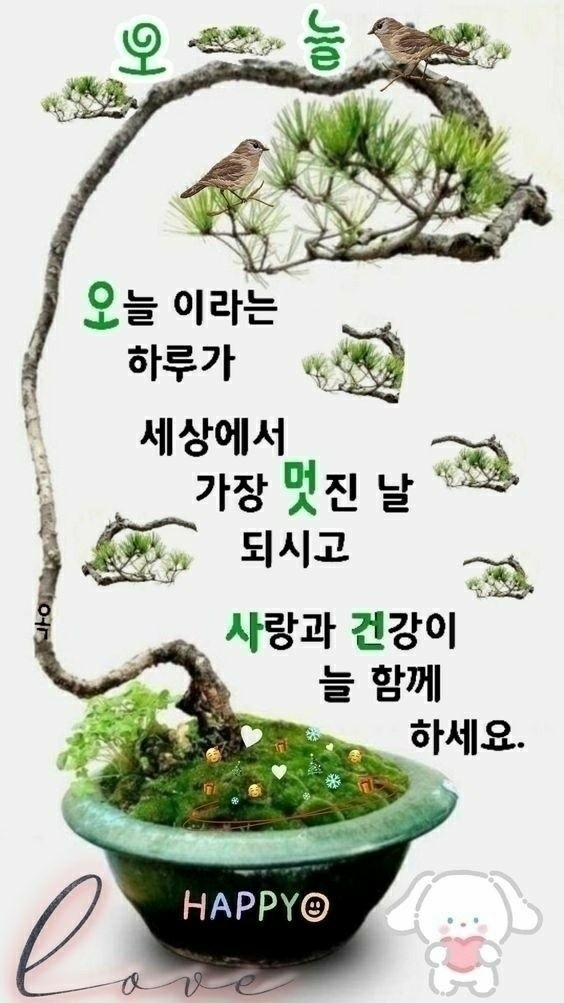 낭만포차한식점심부페 이미지