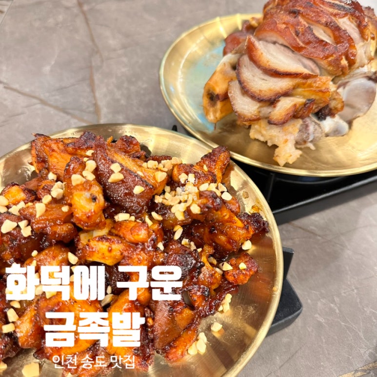 도리몰o 이미지