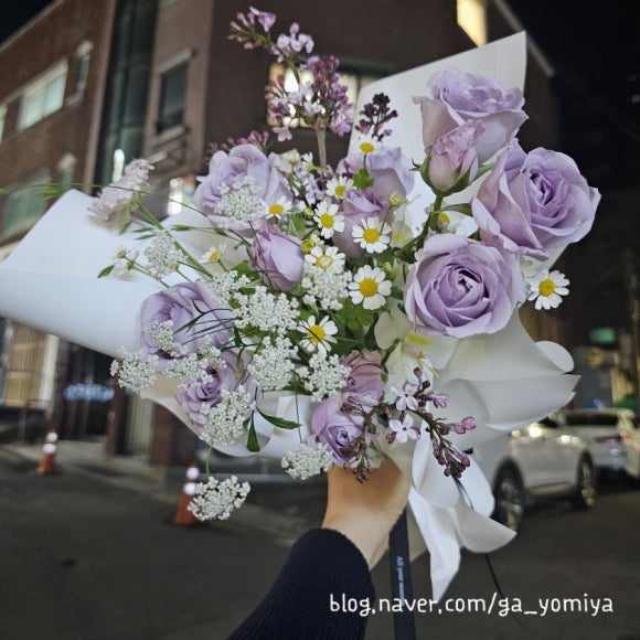 올유어시즌스 이미지