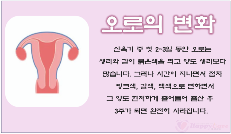 (강동송파)해피케어 이미지