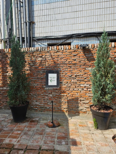 루이까스텔대구 이미지