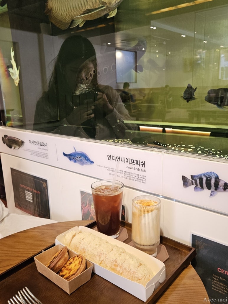 대명동물고기 이미지