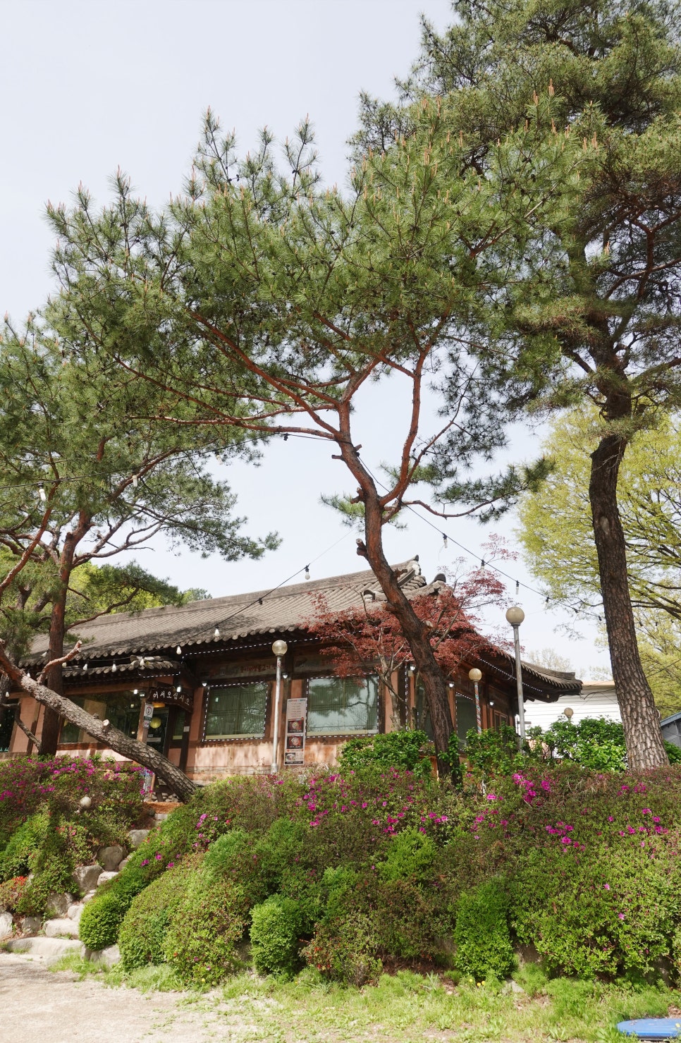 이대감순대국 이미지