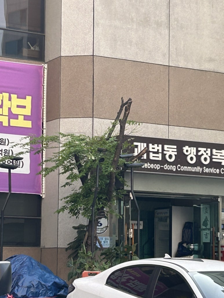 모범세탁소 이미지