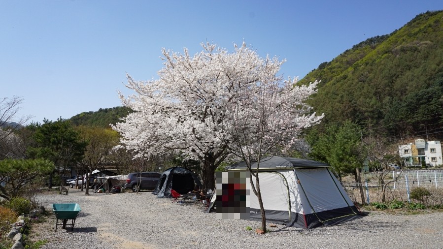 들꽃여울캠핑장 이미지