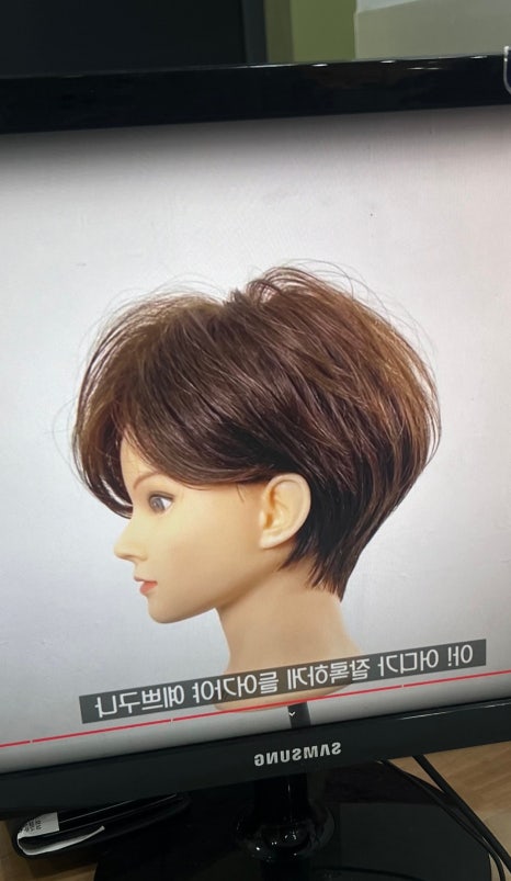 자르다헤어 이미지