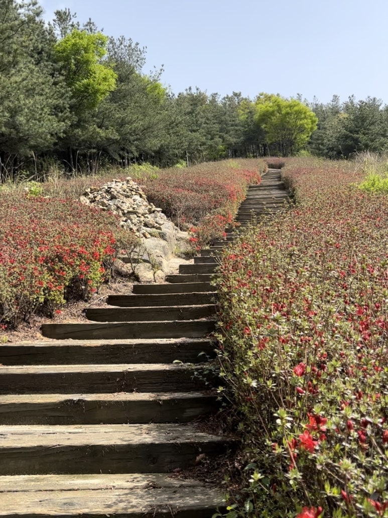 영인산국밥 이미지