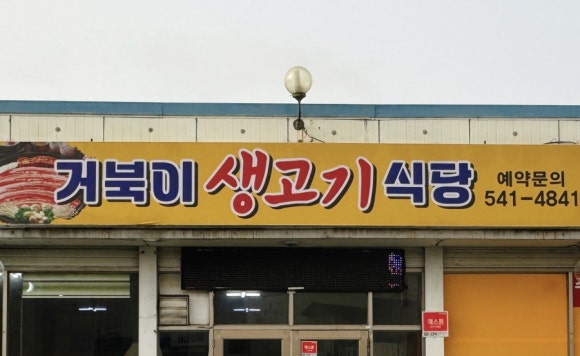 거북이생고기식당 이미지