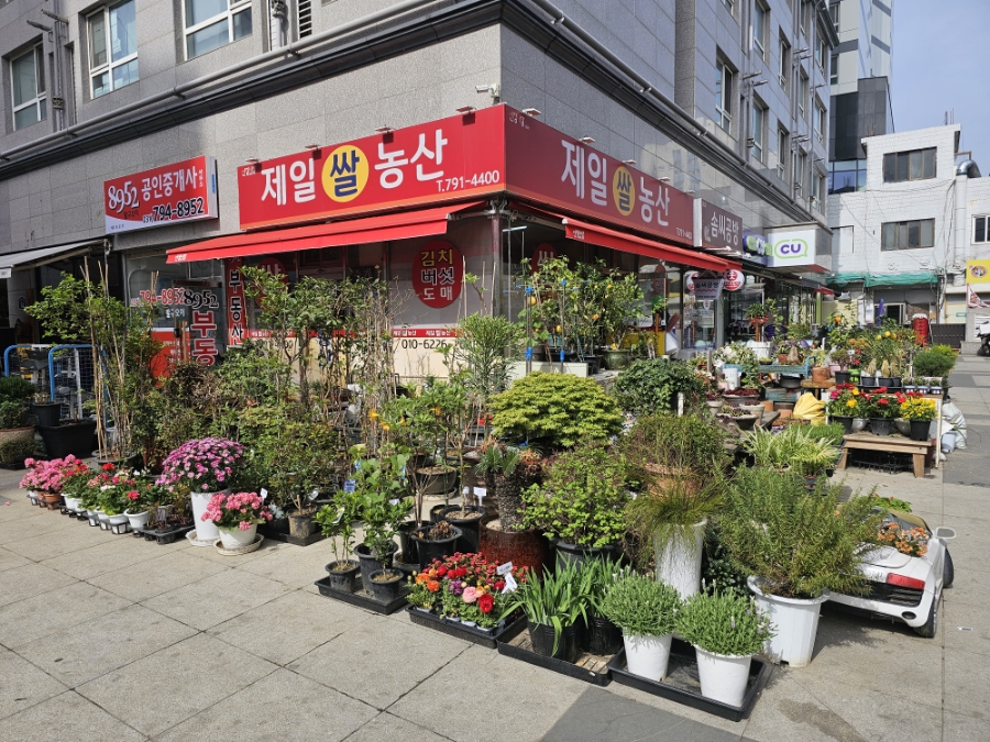 제일농산 이미지