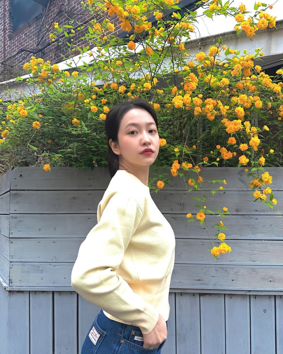 웬디베이킹 이미지