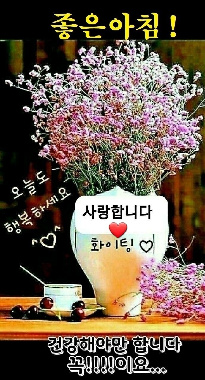 하루파출 이미지