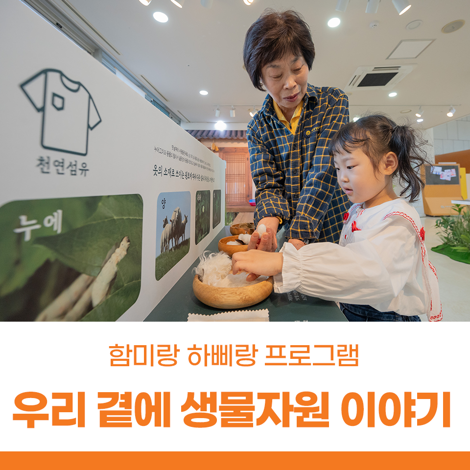 함미하삐 이미지