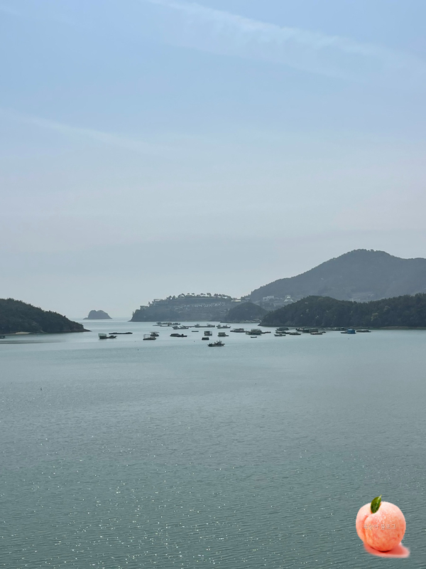 돌산식당 이미지