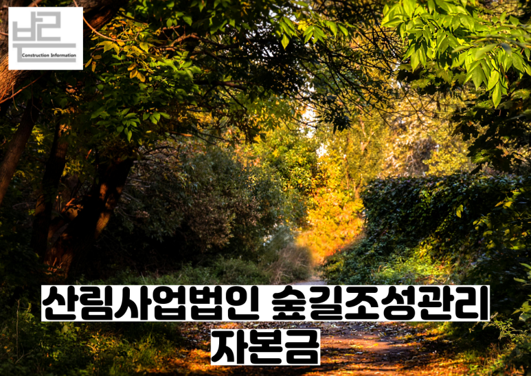 숲길법인 이미지