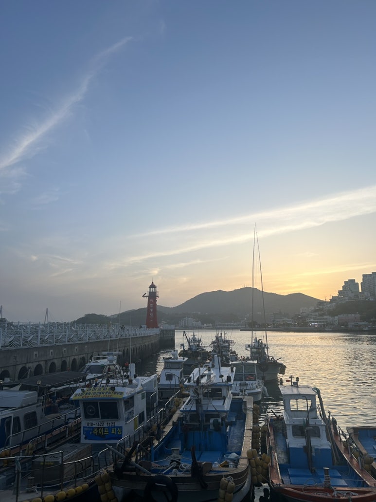 복마차 이미지