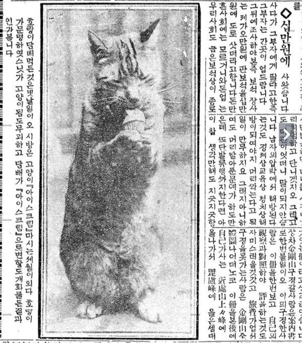 호랑이담배피던시절 이미지