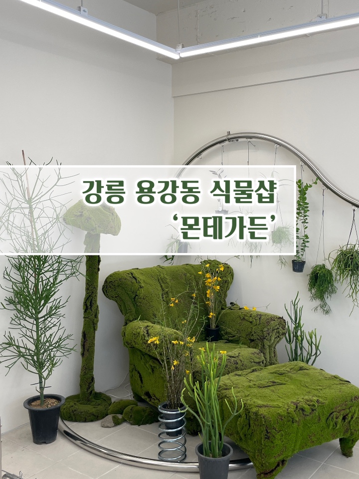 몬테가든 이미지