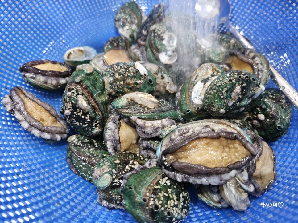 백아한방병원 이미지