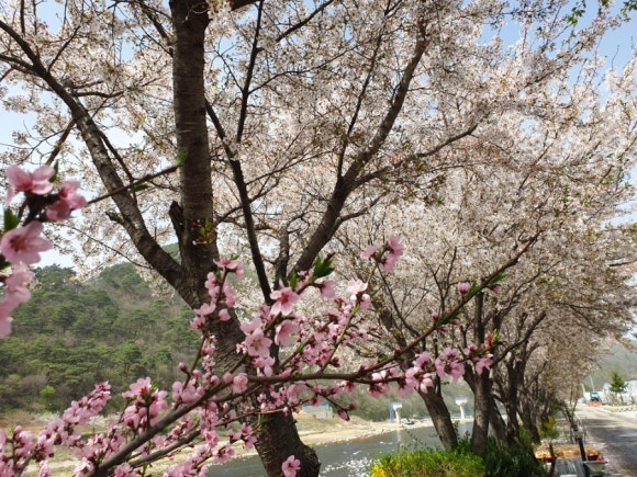 상방림교(상) 이미지