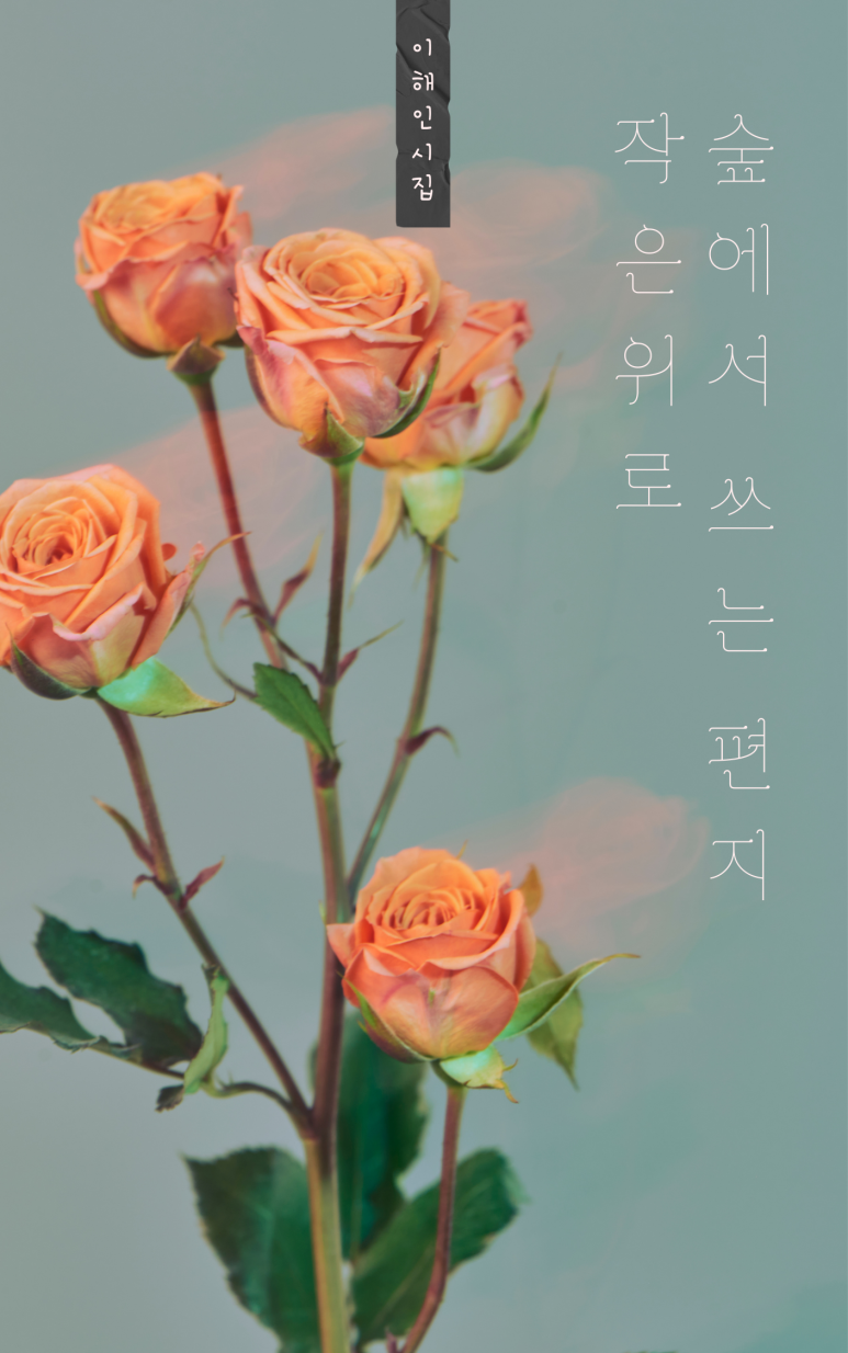 모모미 이미지