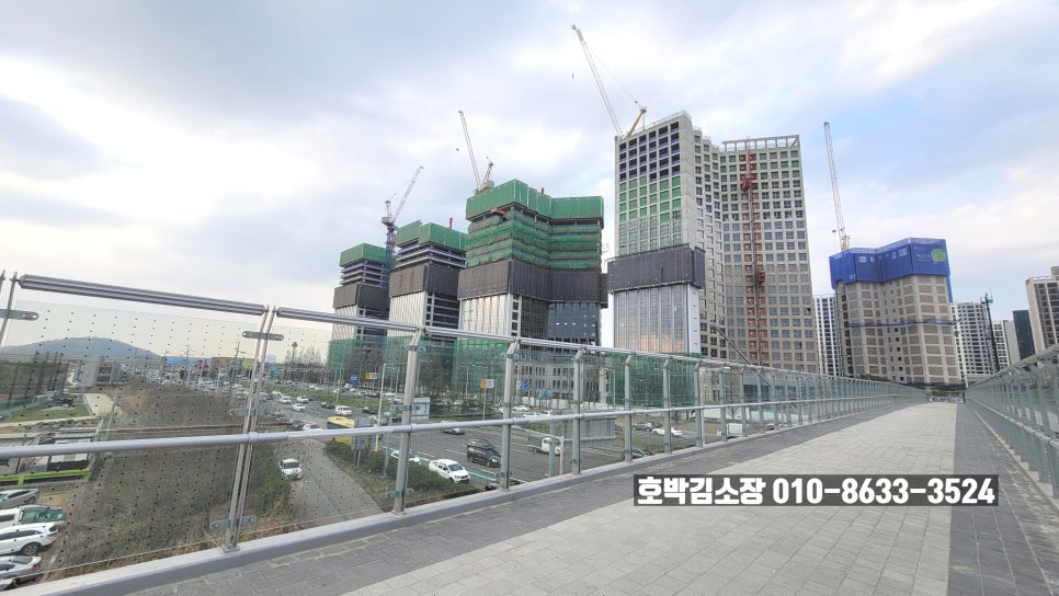 지엘쇼핑 이미지