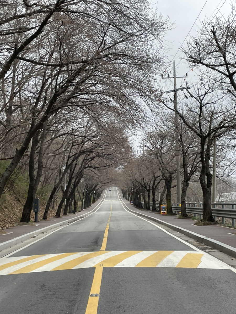 찬영이네밥상 이미지